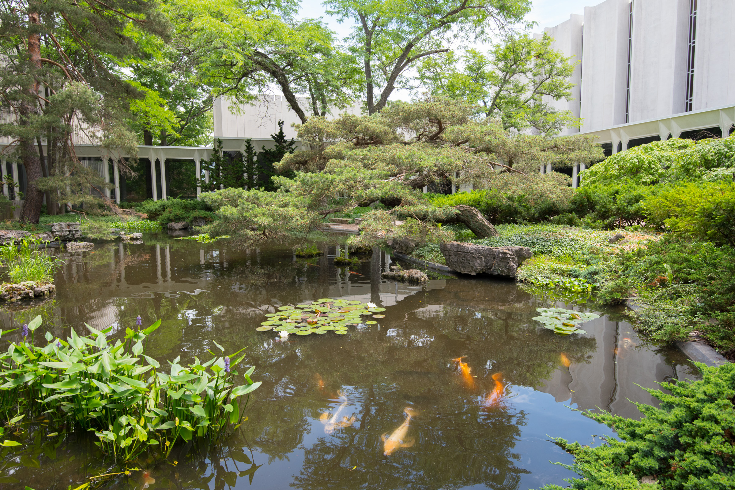Reflection pond outside of Bibbins Hall
